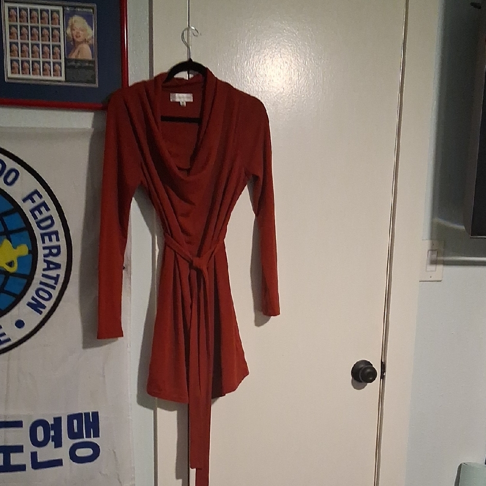 Elegant Rust Cowl Neck Sweater Dress